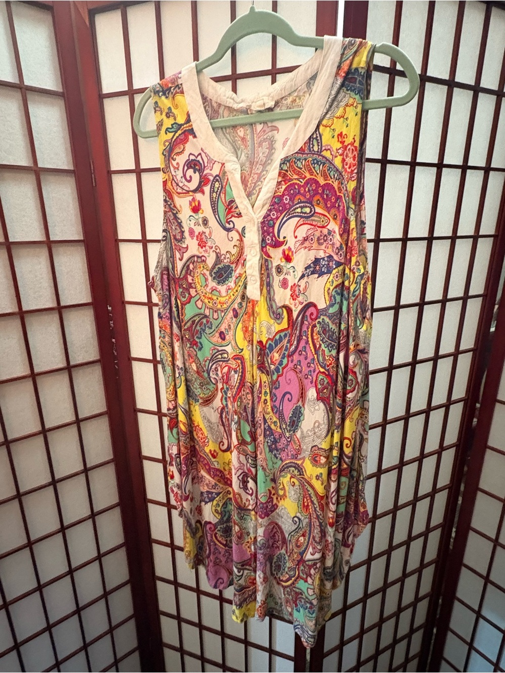 Sleeveless Multicolor Paisley dress
